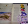 Australia 1999 Deluxe Yearbook Album with all Stamps FV$44.60 Australia 1999 Deluxe Yearbook Album with all Stamps FV$44.60